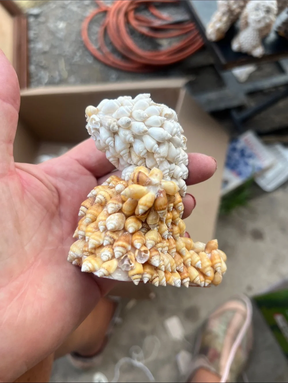 Narco decorative seashell